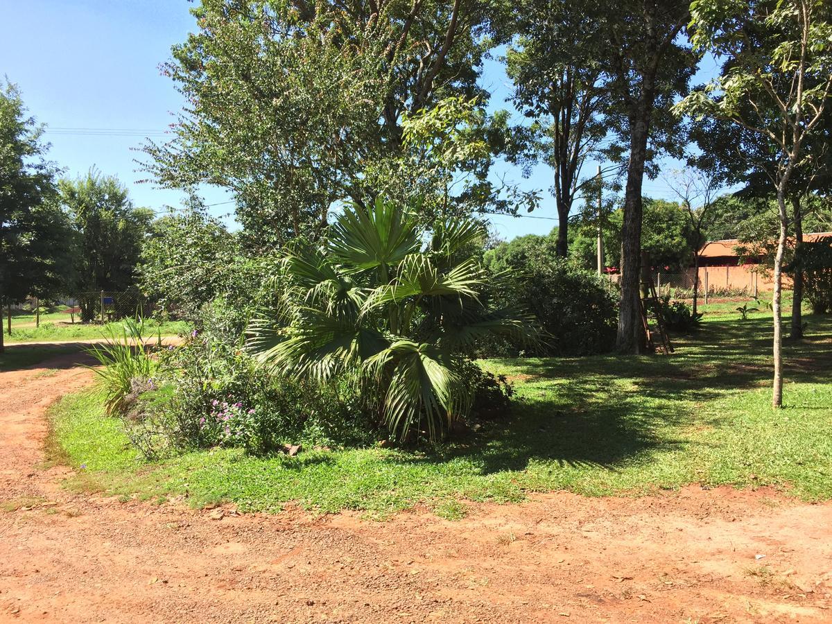Iguazu Apart Hostel Puerto Iguazu Bagian luar foto